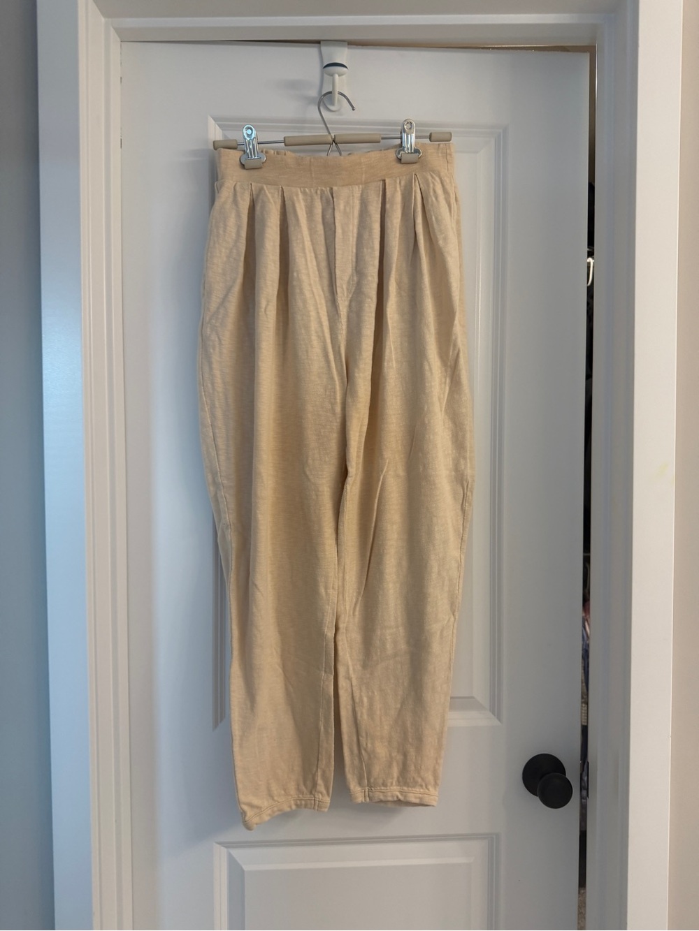Free People Light Beige Pleated Chinos